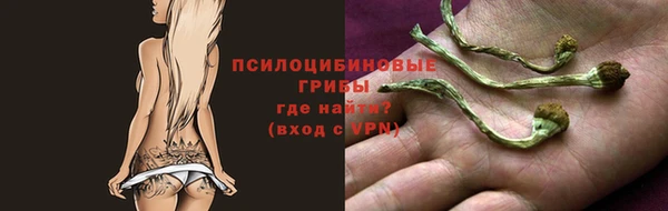 тгк Арсеньев