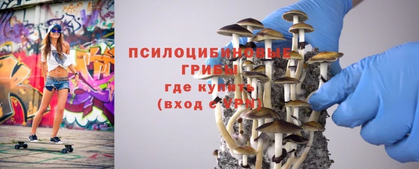 jwh Аркадак